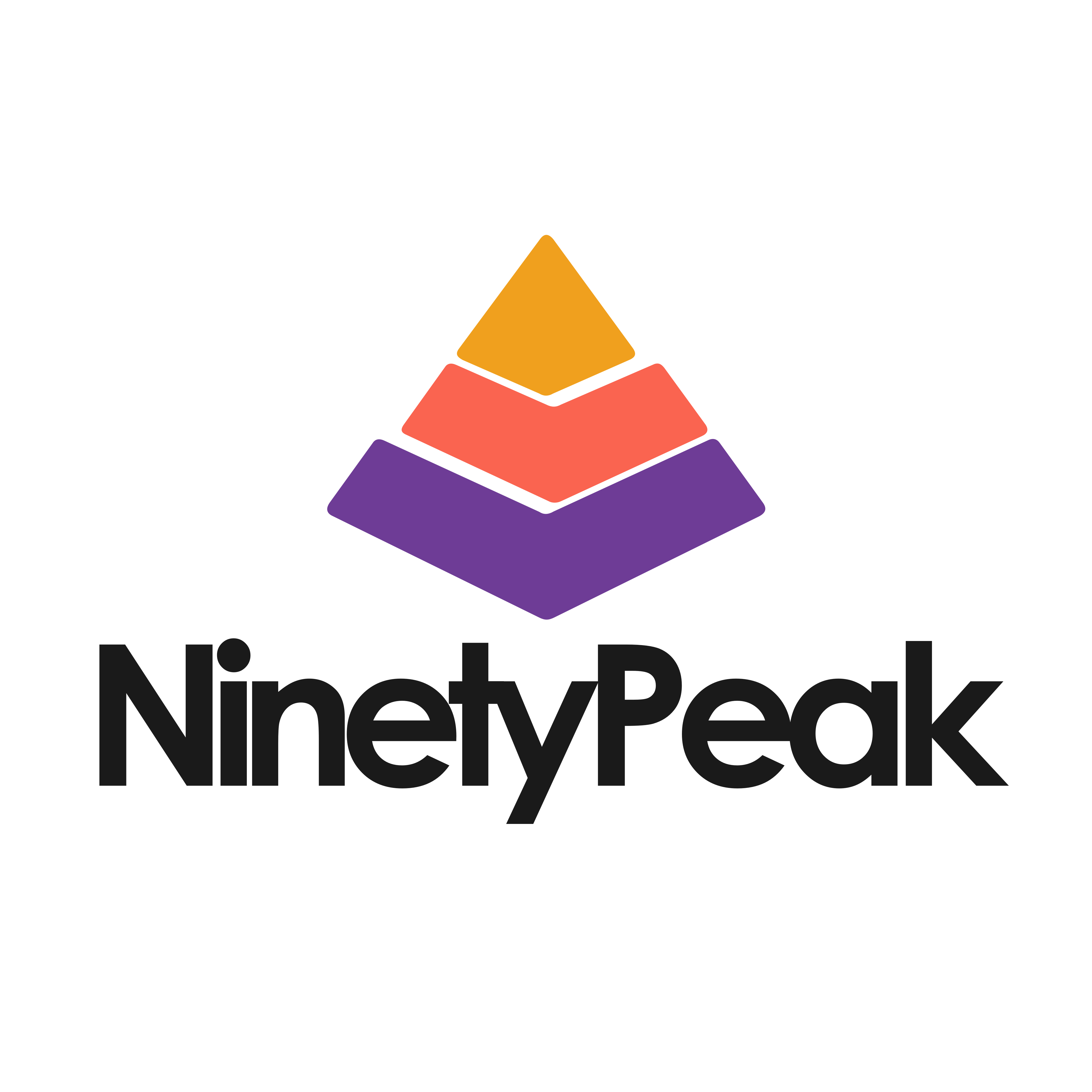NinetyPeak Logo - Wissen in 90 Sekunden